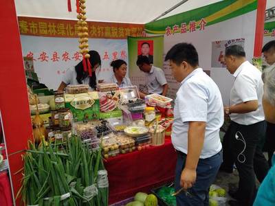 长春市精准扶贫暨“第一书记代言”产品大集 电子商务助力乡村振兴新路径